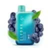 ELF BAR RAYA D1 - Blueberry Mint